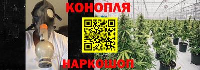 mdpv Гусиноозёрск