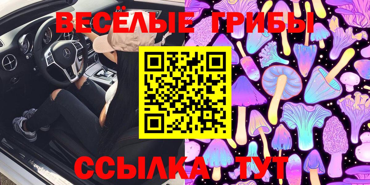 Псилоцибиновые грибы GOLDEN TEACHER  Вход с VPN  Мурманск 